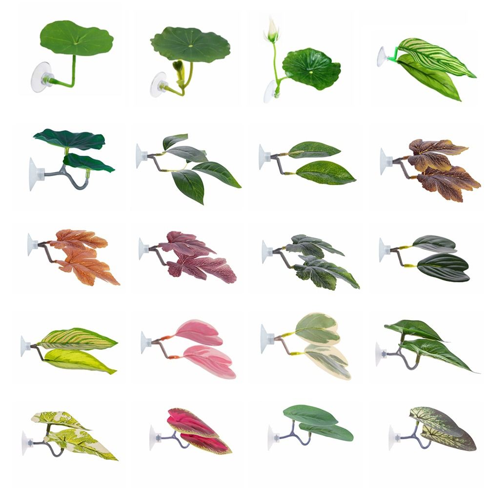 Aquarium Plant Live - Hoja de descanso de pescado Betta