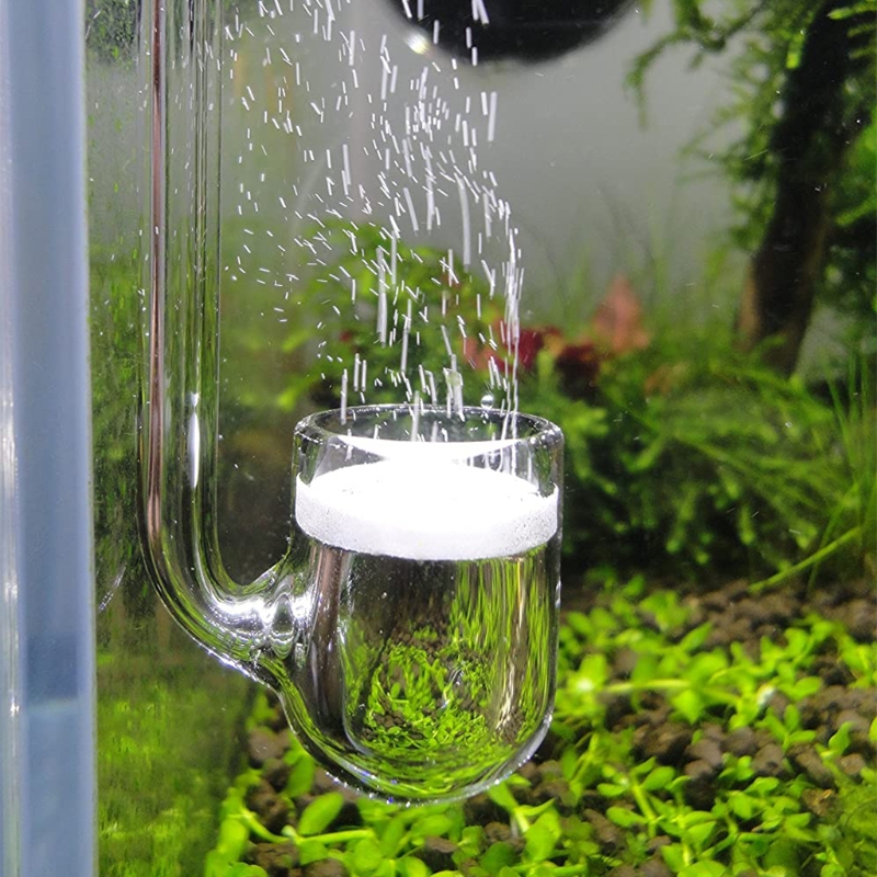 Aquarium Plant No Co2 - Difusor CO2 vidrio D0AD para acuario