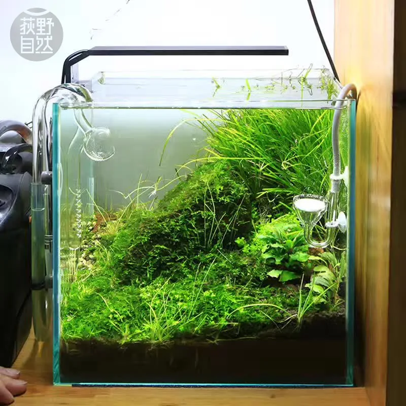 Aquarium Plant Ornament - Chihiros Serie C Planta estilo ADA