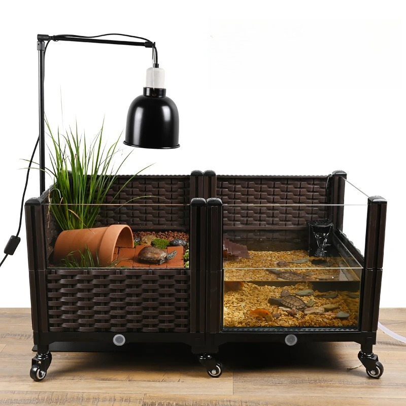 Aquarium Plant Yellowing - Tanque Eco Tortuga con Plataforma Basking,