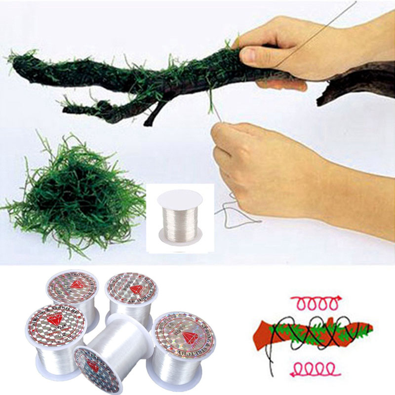 Aquarium Plant Echinodorus - Línea de encuadernación de musgo DIY