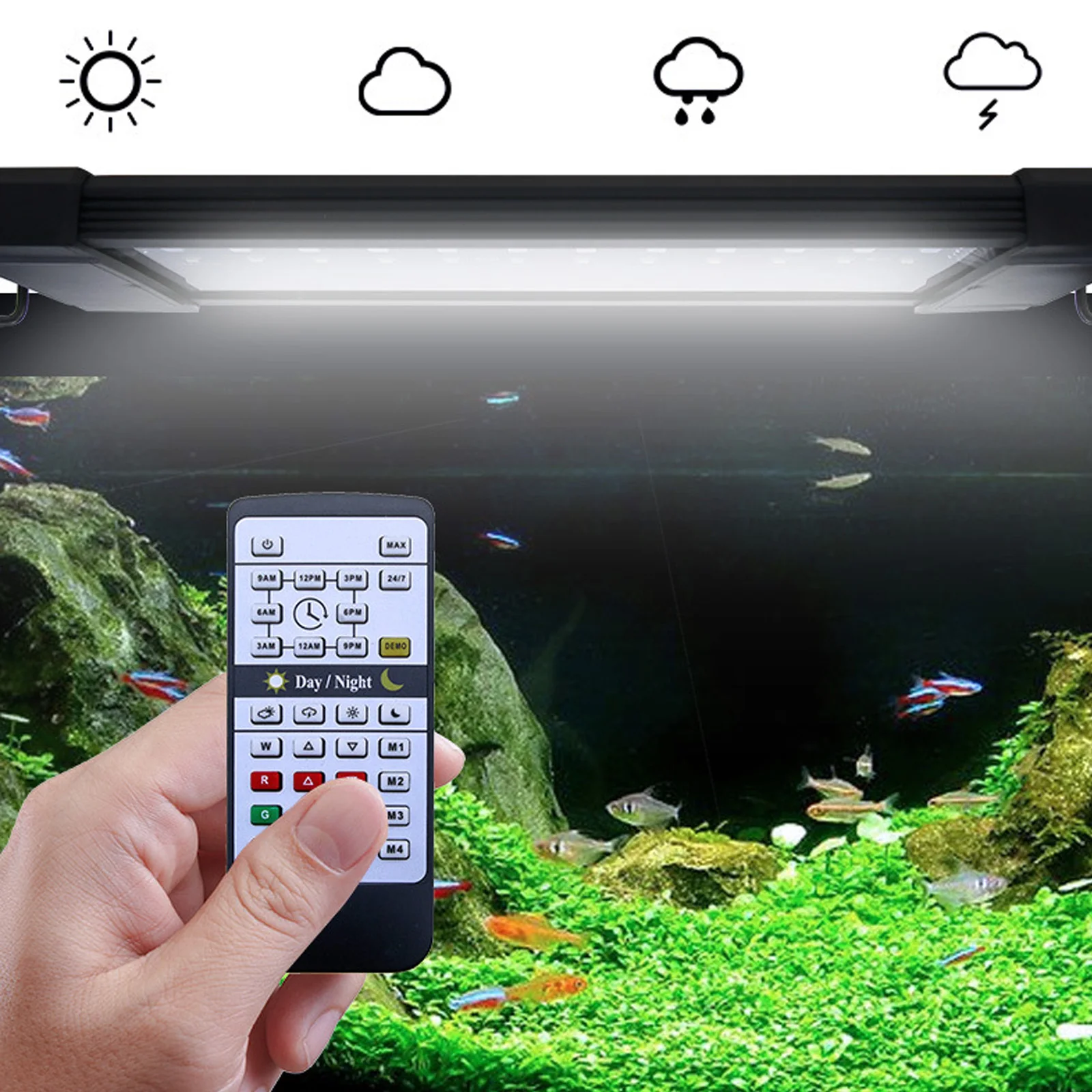 Planted Aquarium Hours - Lámpara LED para Acuario Liweida de
