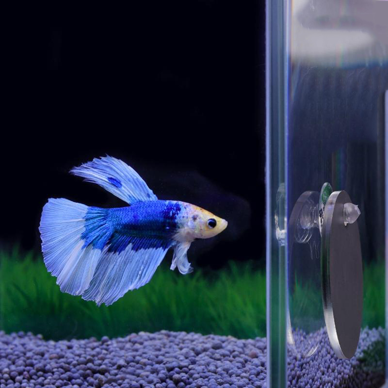 Aquarium Plant Ornament - Espejo Betta para acuario, espejo redondo