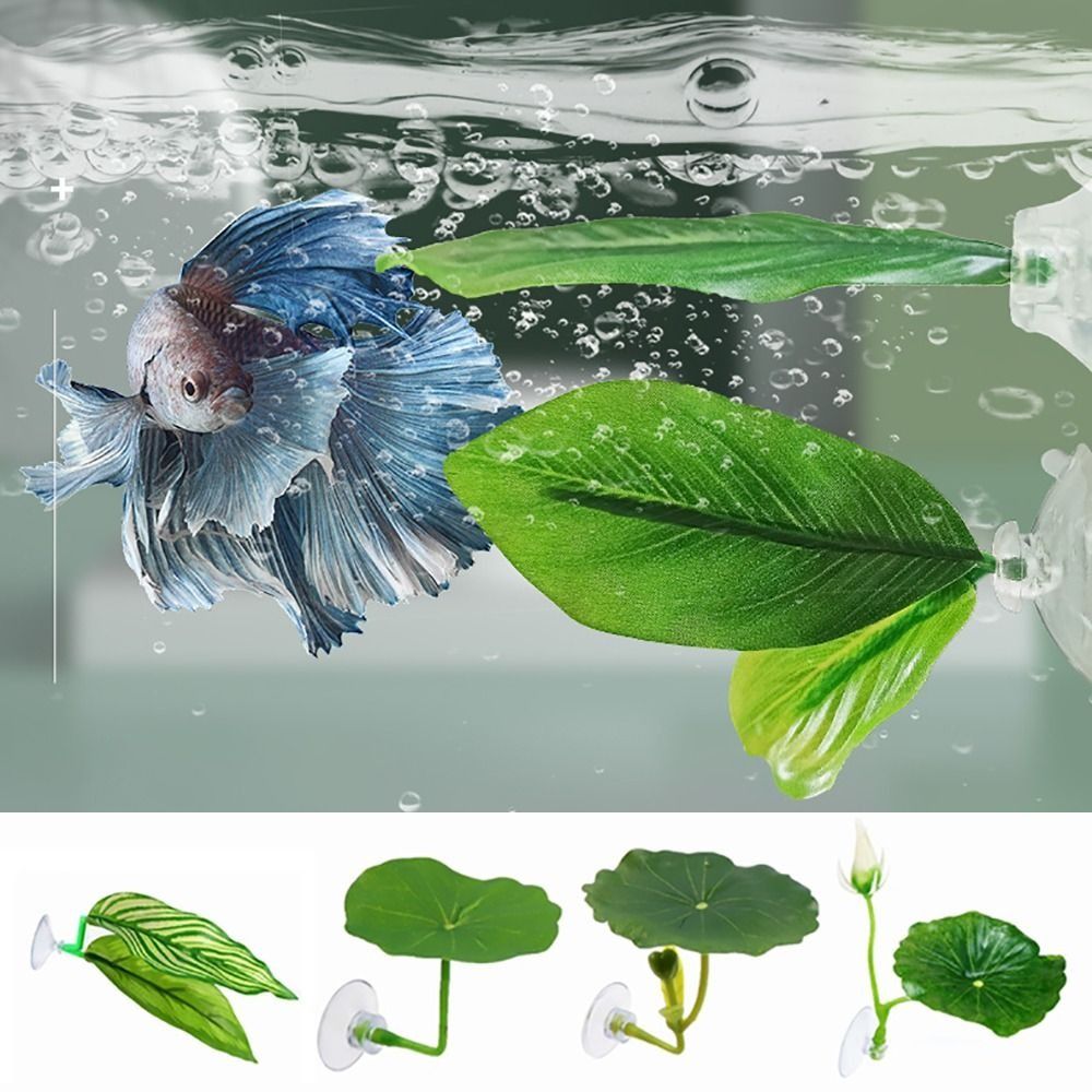 Hoja de descanso de pescado Be - Aquarium Plant Live reseña y precio