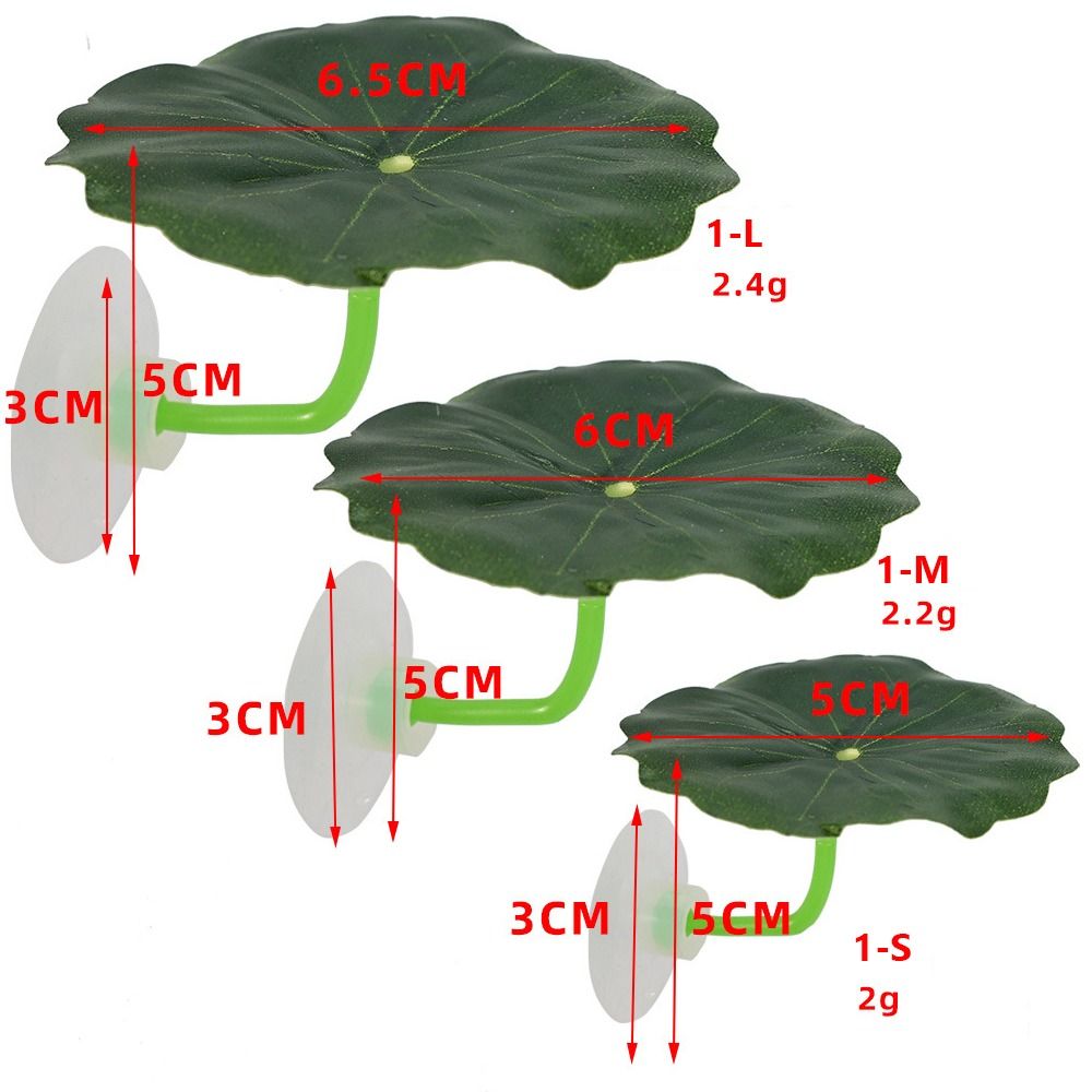 Hoja de descanso de pescado Be - Aquarium Plant Live reseña y precio