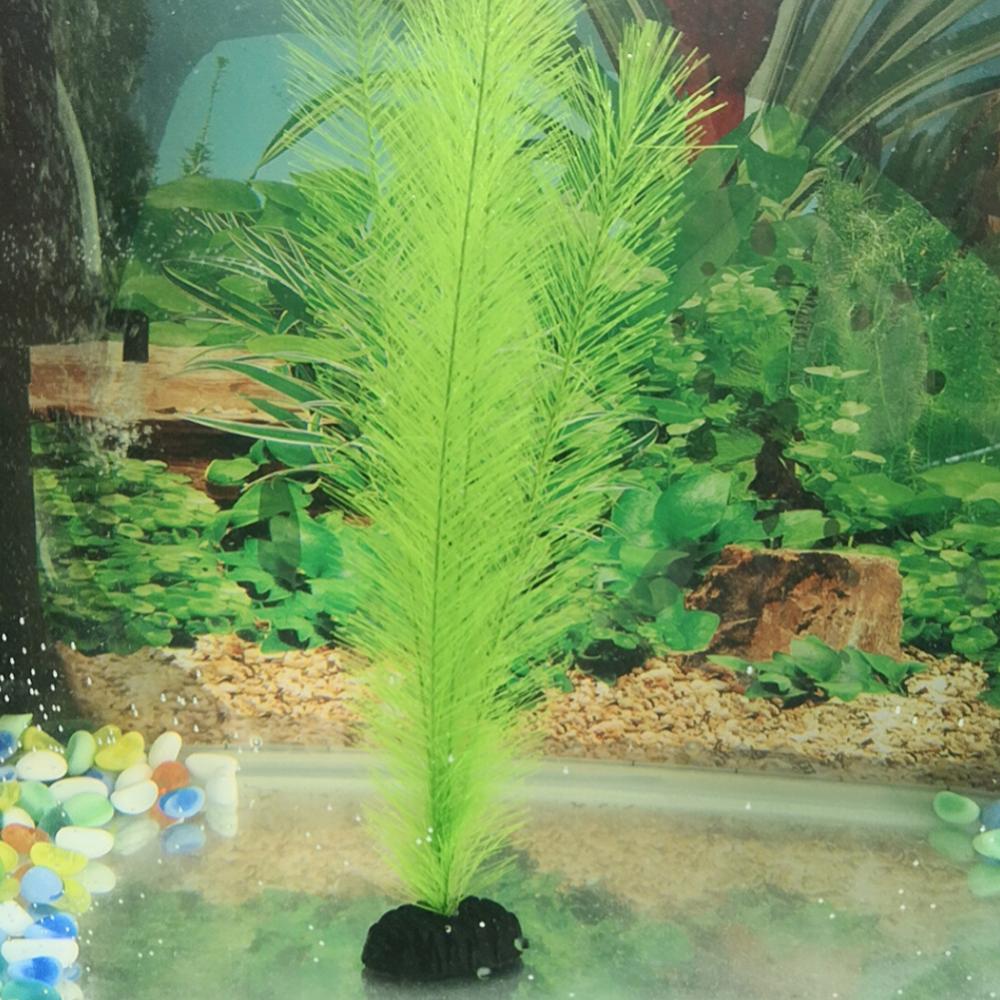 1/3 Uds 28/40cm acuario pecera - Aquarium Plant Live reseña y precio