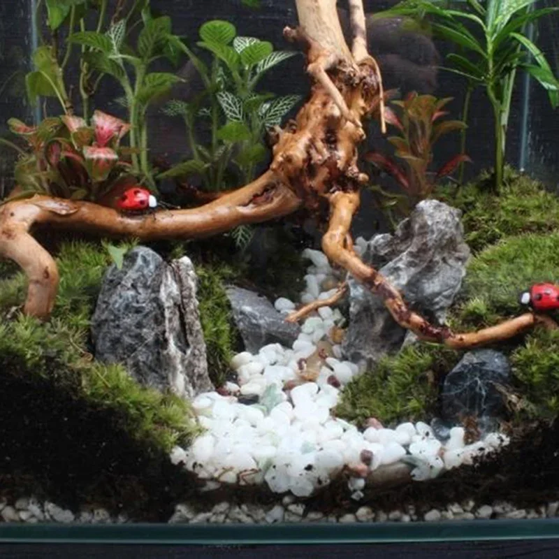 Tronco de árbol Natural de mad - Aquarium Plant Ornament reseña y precio