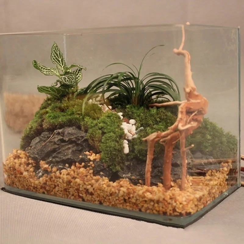 Tronco de árbol Natural de mad - Aquarium Plant Ornament reseña y precio