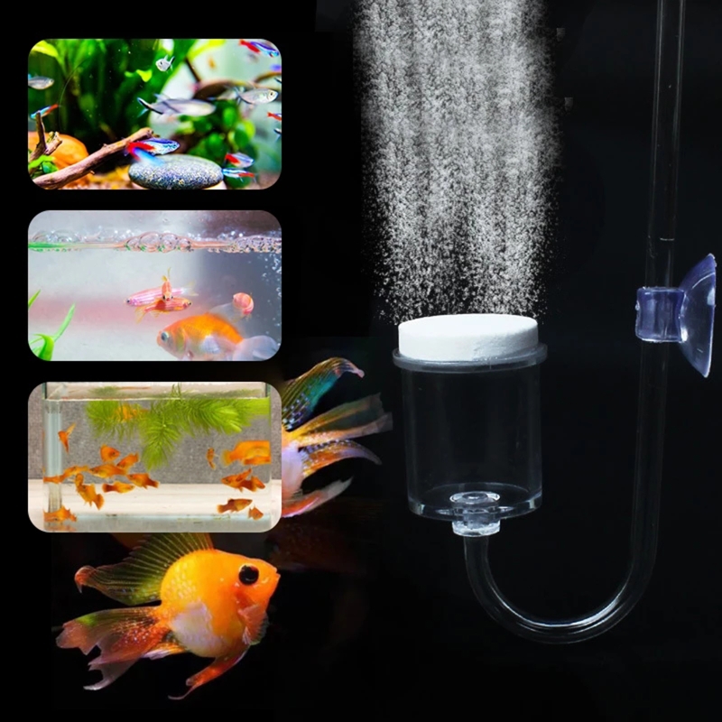 Juego de 4 piezas de difusor d - Aquarium Plant Echinodorus reseña y precio