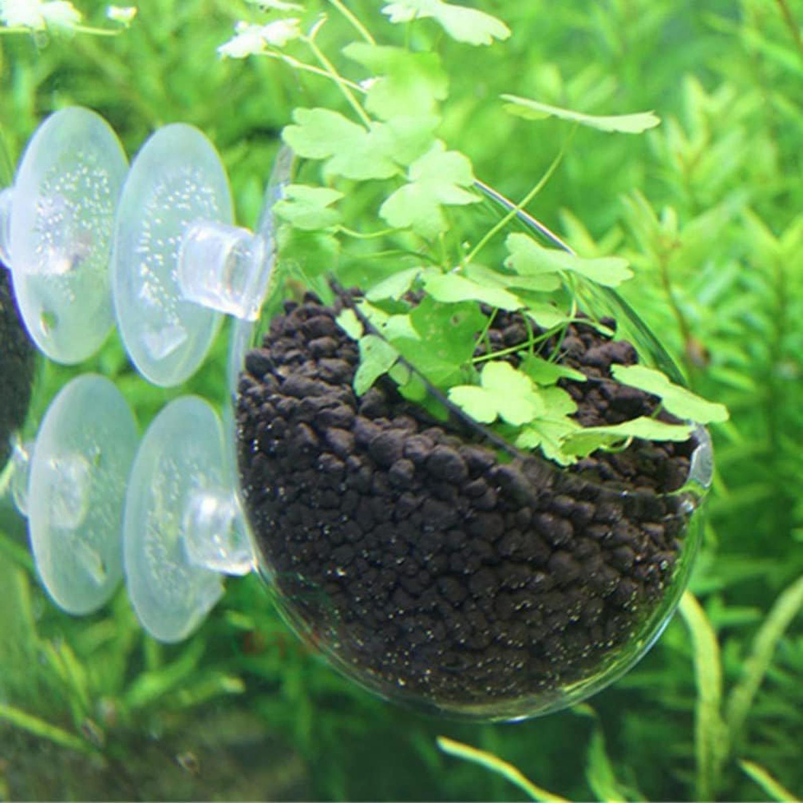 Soporte para Plantas de Acuari - Aquarium Plant Live reseña y precio