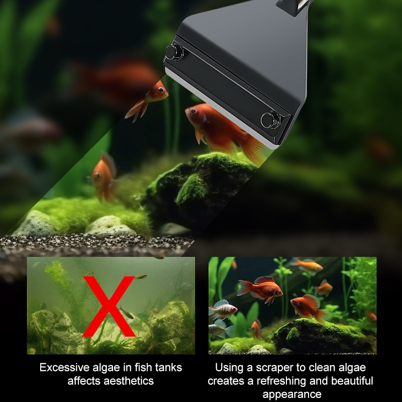 Removedor de algas para acuari - Planted Aquarium Algae Remover reseña y precio