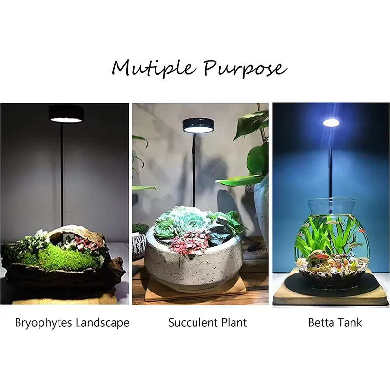 Luz LED de Espectro Completo c - Planted Aquarium Hours reseña y precio