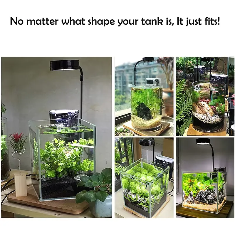 Luz LED de Espectro Completo c - Planted Aquarium Hours reseña y precio