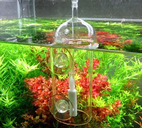 Dispositivo VIV Do, cilindro d - Aquarium Plant Live reseña y precio