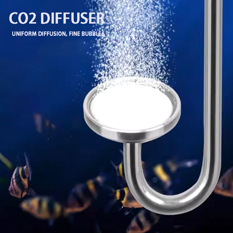 Nebulizador de CO2 para acuari - Aquarium Plant No Co2 reseña y precio