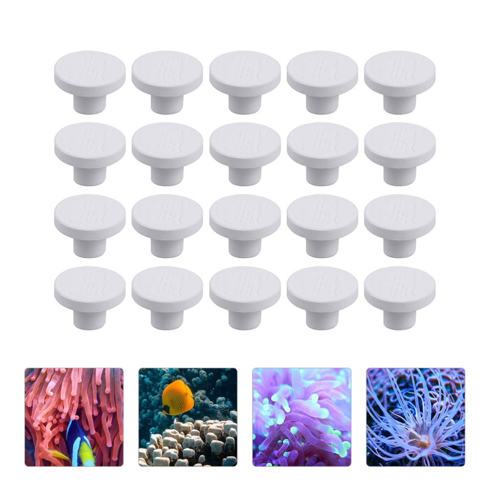 Base de Cerámica SPS para Frag - Aquarium Plant Ornament reseña y precio