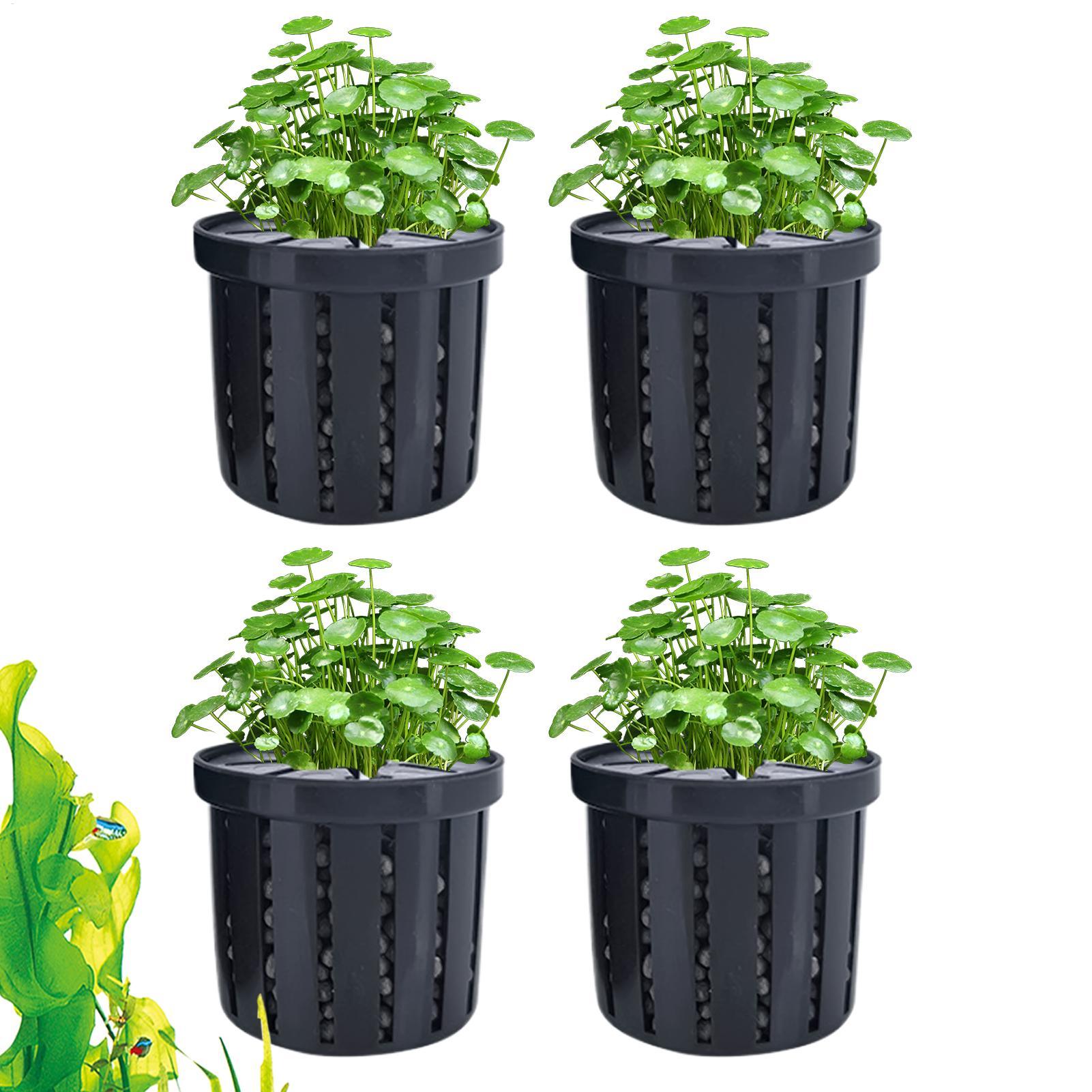 Maceta para acuario de 4 pieza - Aquarium Plant Live reseña y precio
