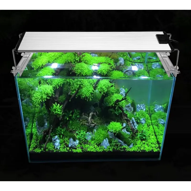 Lámpara LED para Acuario con C - Planted Aquarium Hours reseña y precio