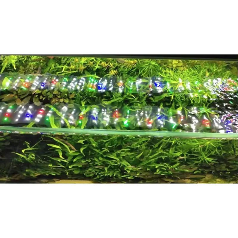 Lámpara LED para Acuario con C - Planted Aquarium Hours reseña y precio