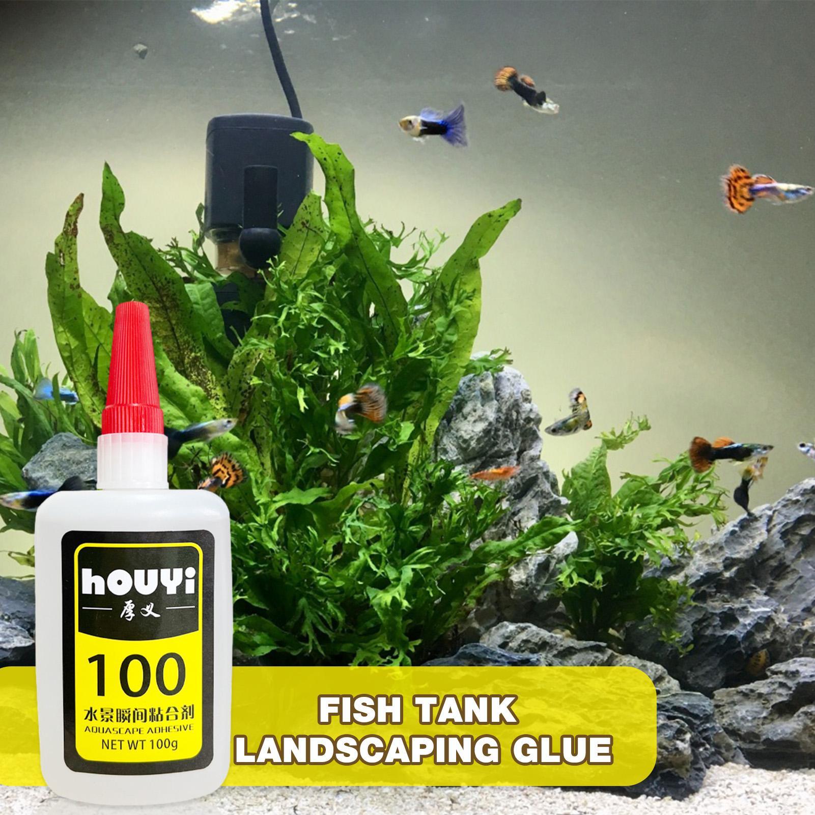 Pegamento instantáneo transpar - Aquarium Plant Glue reseña y precio