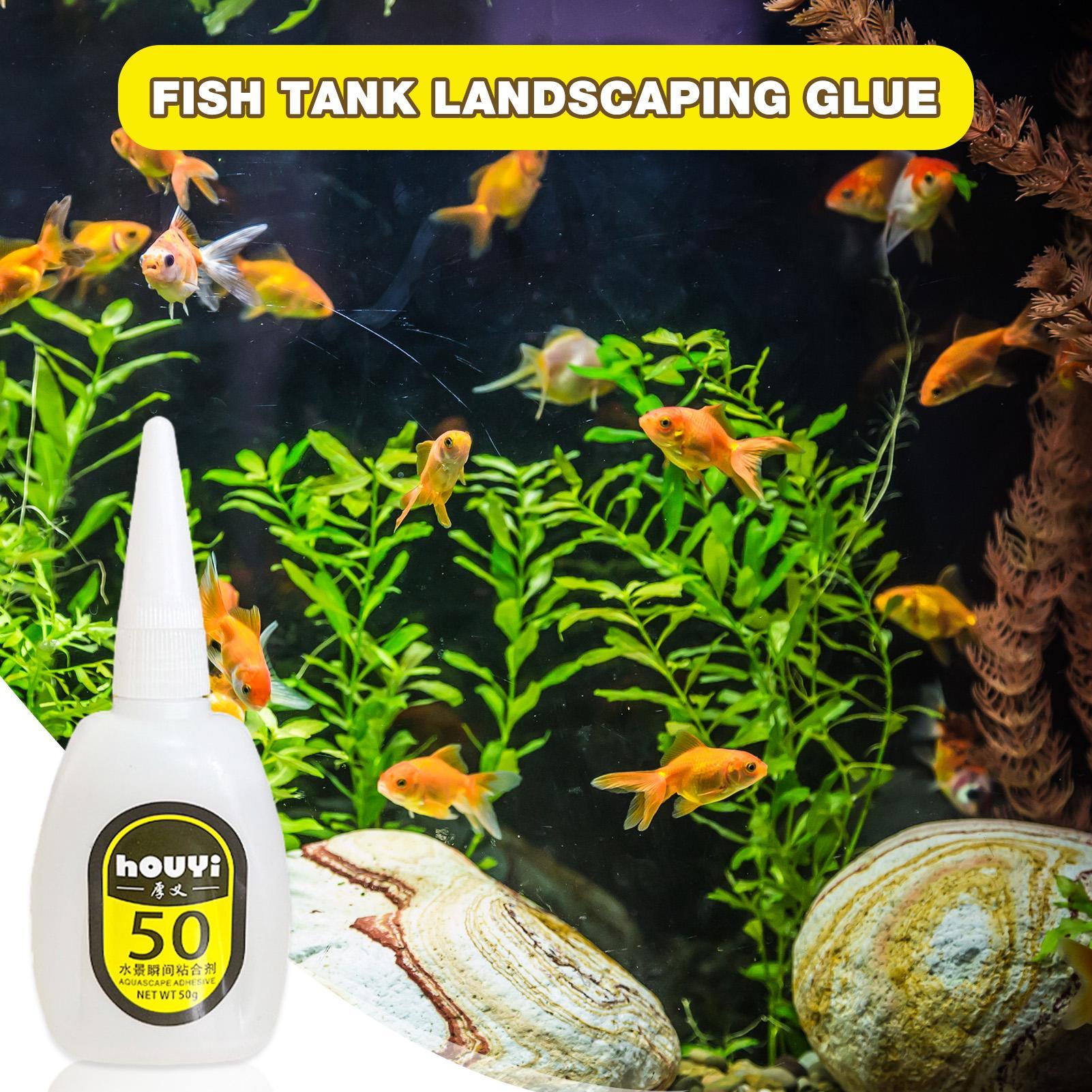 Pegamento instantáneo transpar - Aquarium Plant Glue reseña y precio