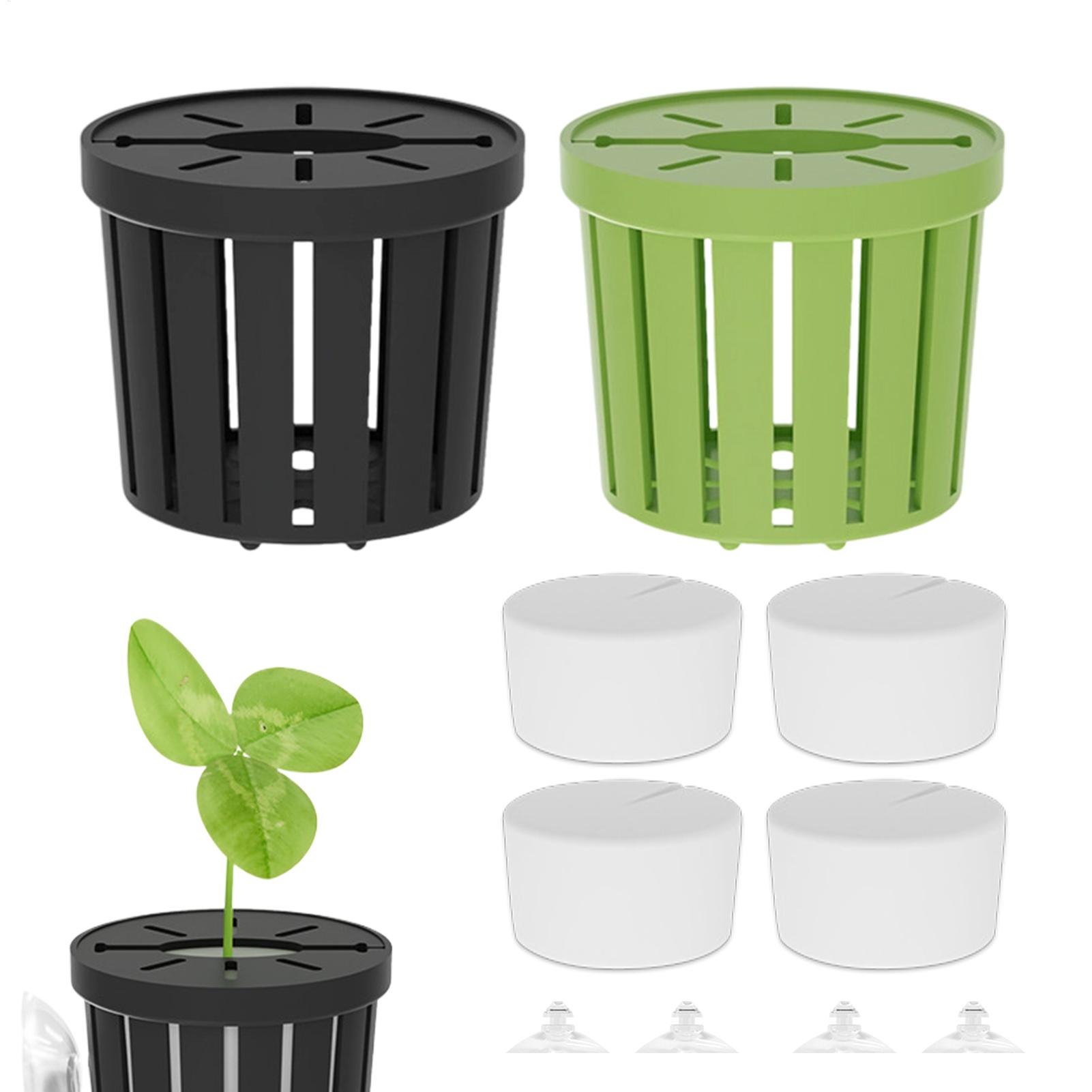 Juego de 4 Soportes para Plant - Aquarium Plant Live reseña y precio