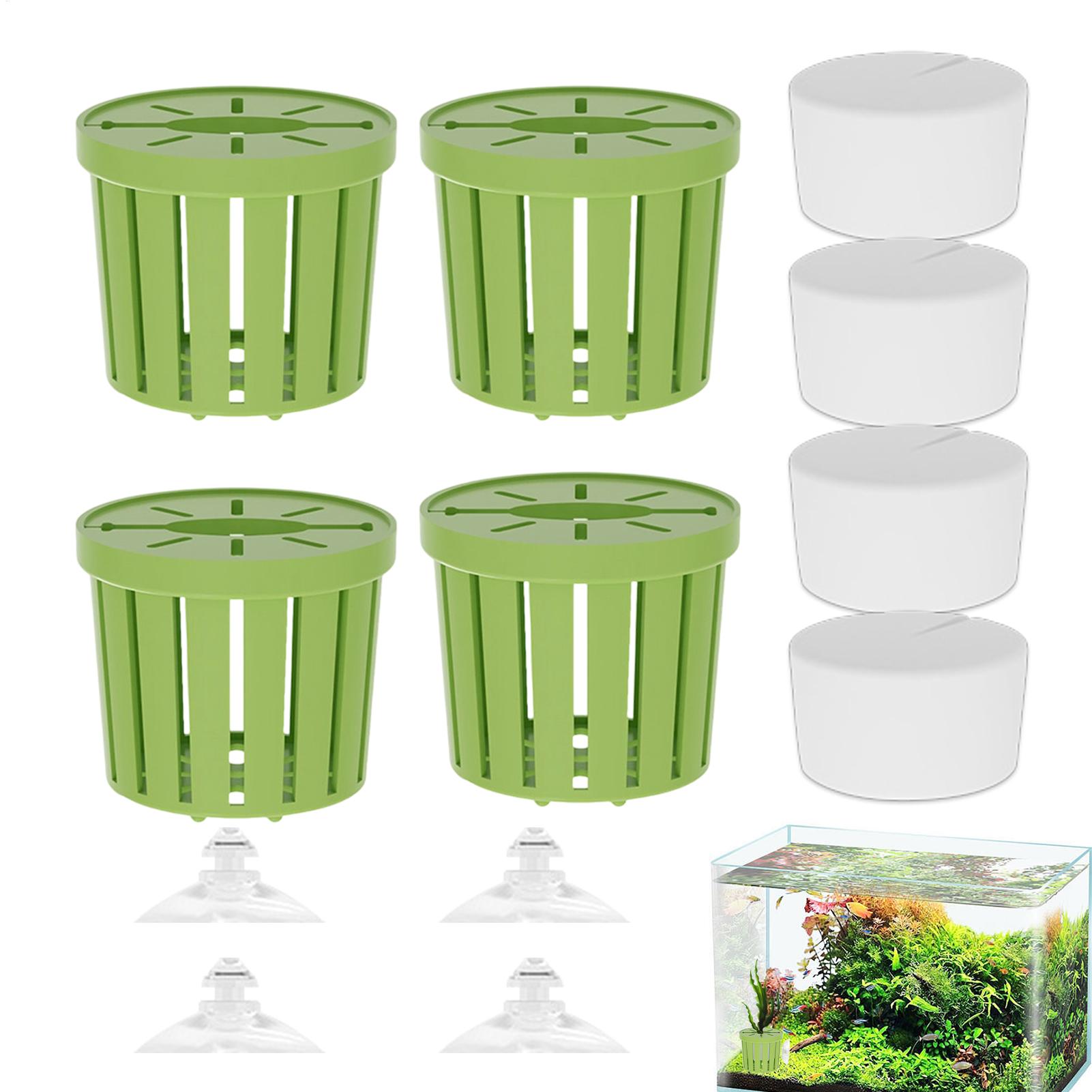 Juego de 4 Soportes para Plant - Aquarium Plant Live reseña y precio