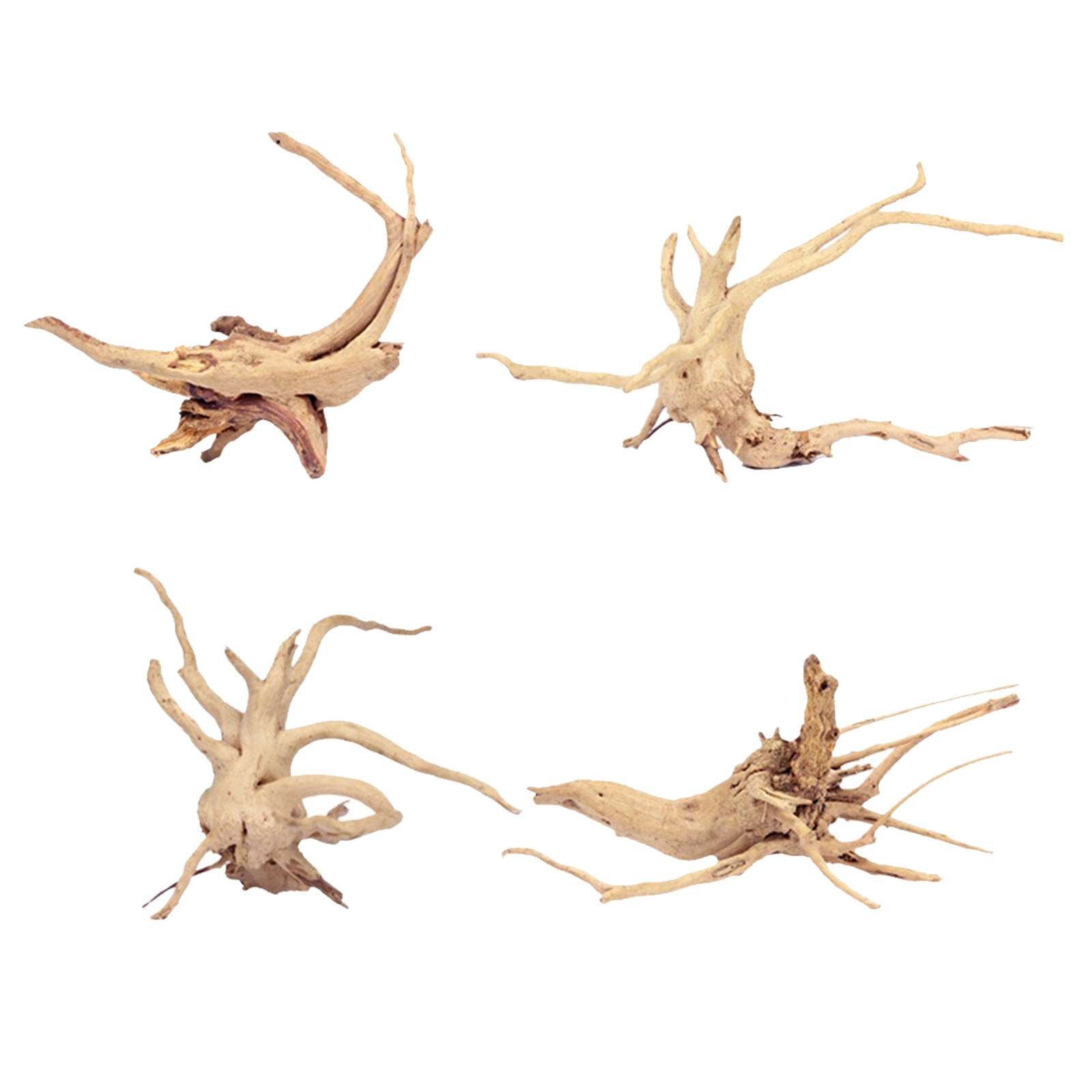4 piezas de ramas naturales de - Planted Aquarium Ph reseña y precio