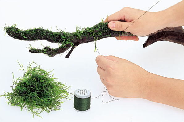 Decoración de madera flotante  - Aquarium Plant Echinodorus reseña y precio