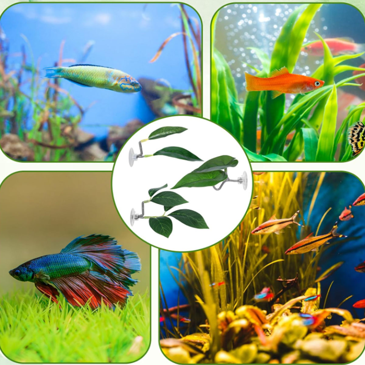 Hamaca para peces Betta, decor - Aquarium Plant Ornament reseña y precio