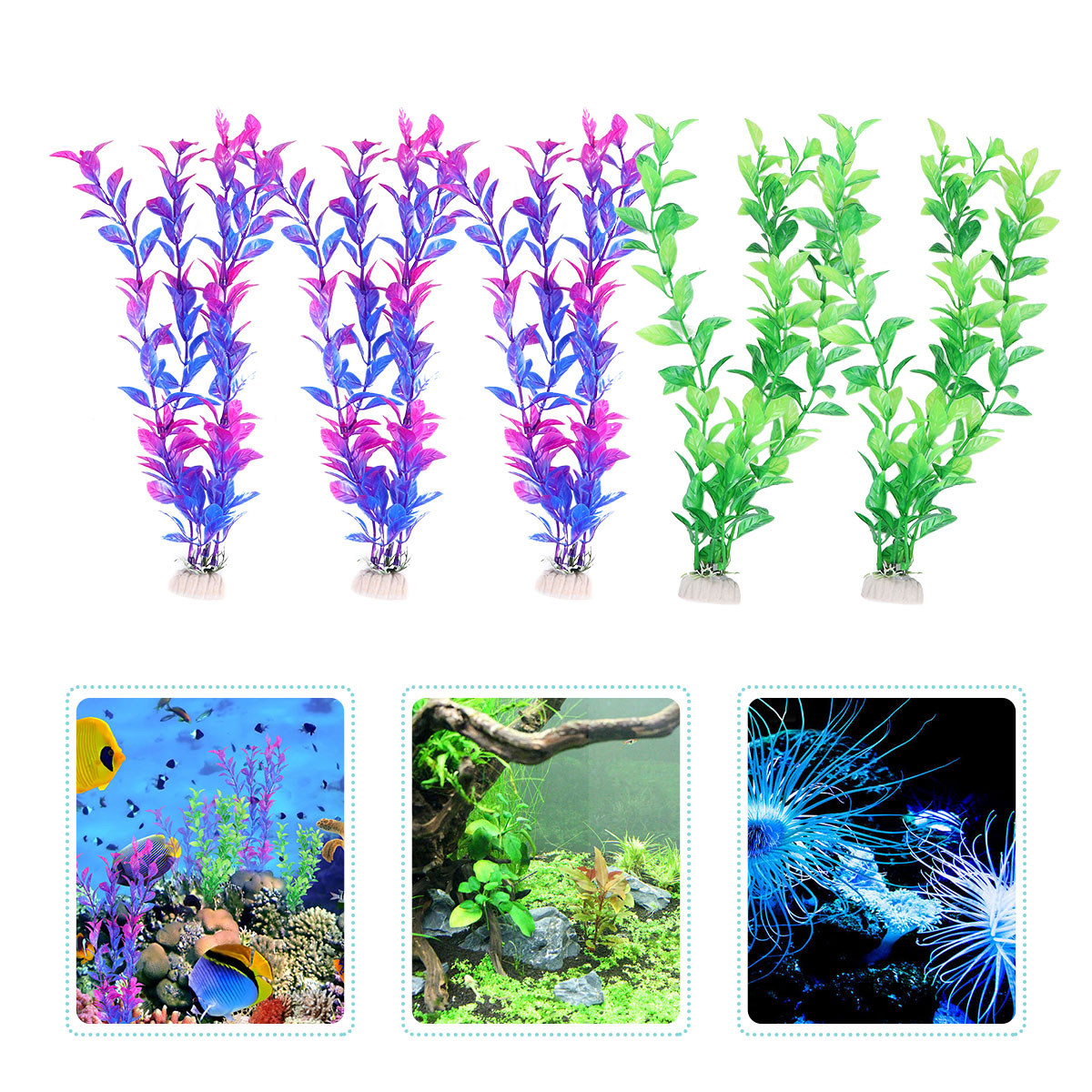 Juego de 10 Plantas Acuáticas  - Aquarium Plant Live reseña y precio