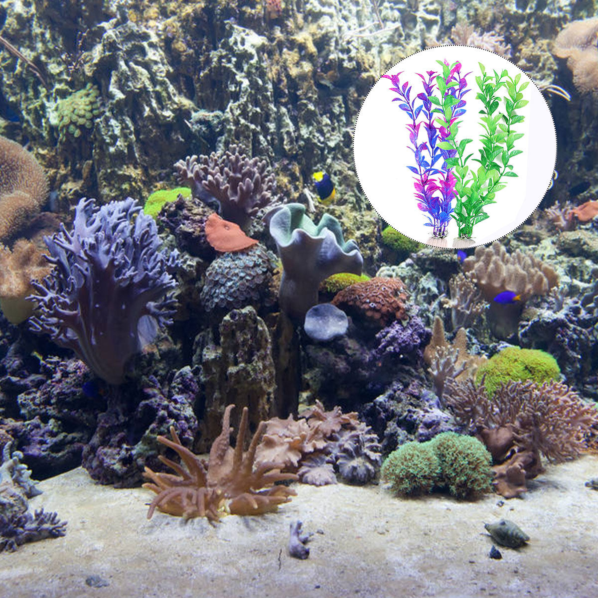 Juego de 10 Plantas Acuáticas  - Aquarium Plant Live reseña y precio