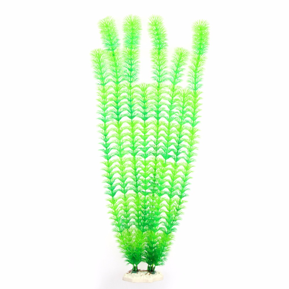 Alta calidad, 50 cm, plantas s - Aquarium Plant Live reseña y precio