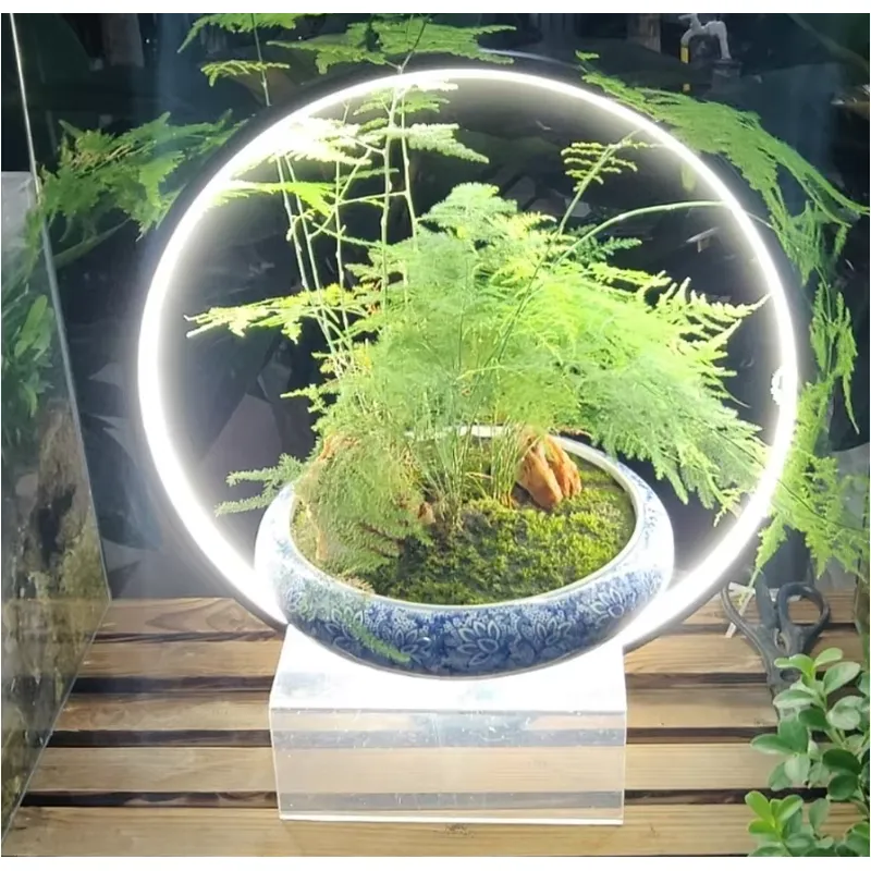 Lámpara LED de Escritorio para - Planted Aquarium Hours reseña y precio