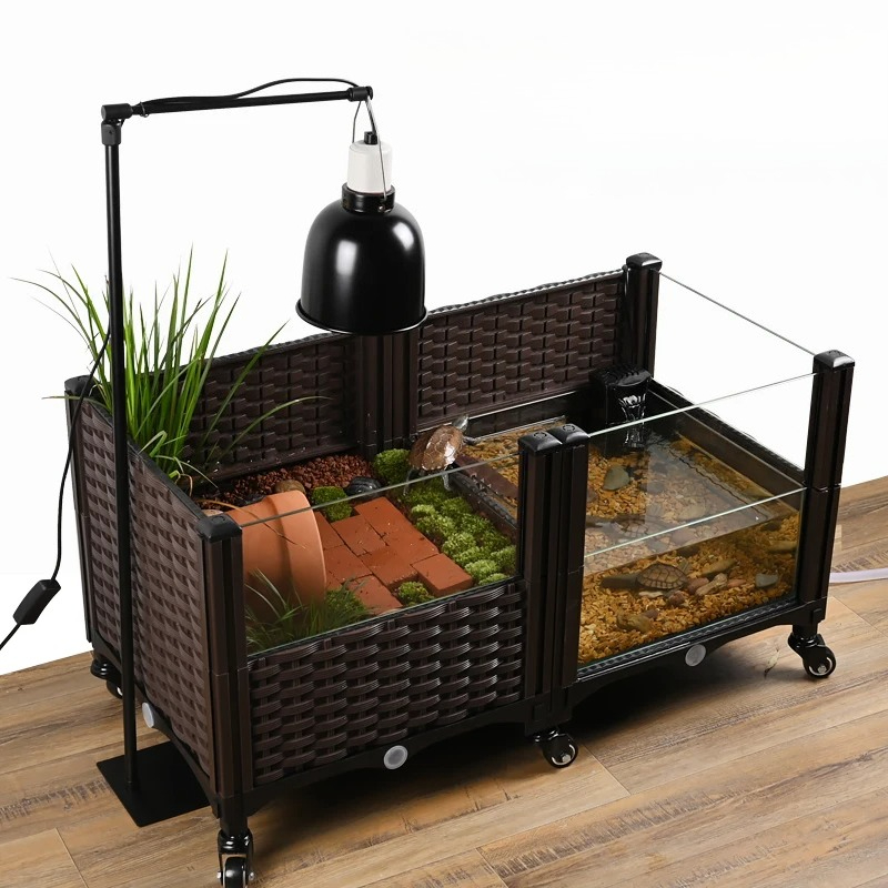 Tanque Eco Tortuga con Platafo - Aquarium Plant Yellowing reseña y precio