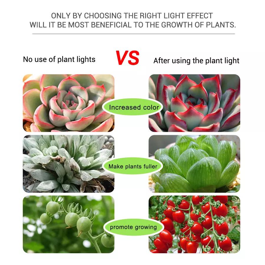 Espectro completo 5V USB plant - Planted Aquarium Hours reseña y precio