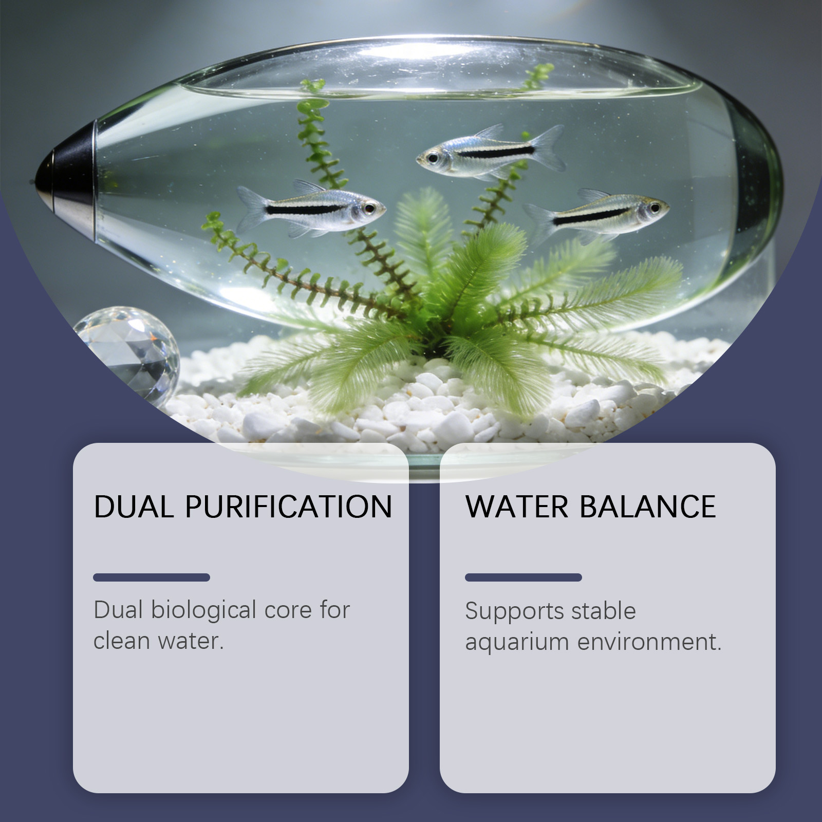 Tabletas Removedoras de Algas  - Planted Aquarium Algae Remover reseña y precio