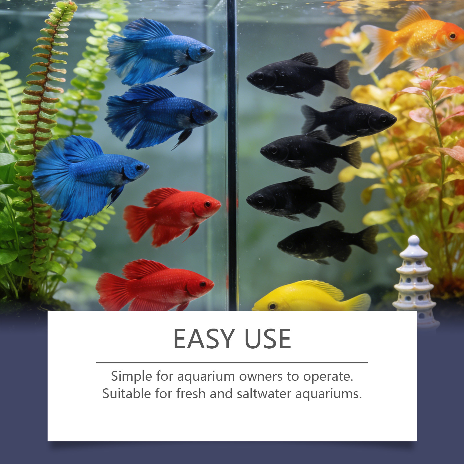 Tabletas Removedoras de Algas  - Planted Aquarium Algae Remover reseña y precio