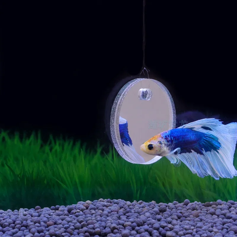 Espejo Betta para acuario, esp - Aquarium Plant Ornament reseña y precio